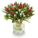 Kytice červených a bílých tulipánů